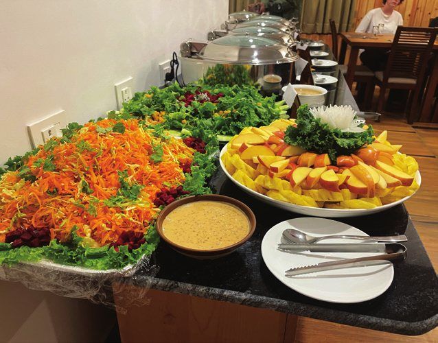 Farm-to-table buffet of fresh vegetables and fruit at The Happiness Farm
