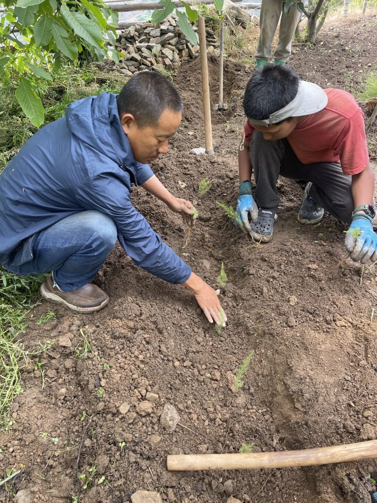 Planting a native tree sapling on The Happiness Farm