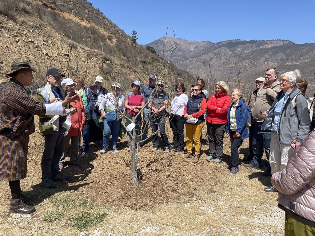 Guests gathered for a tree planting on the farm