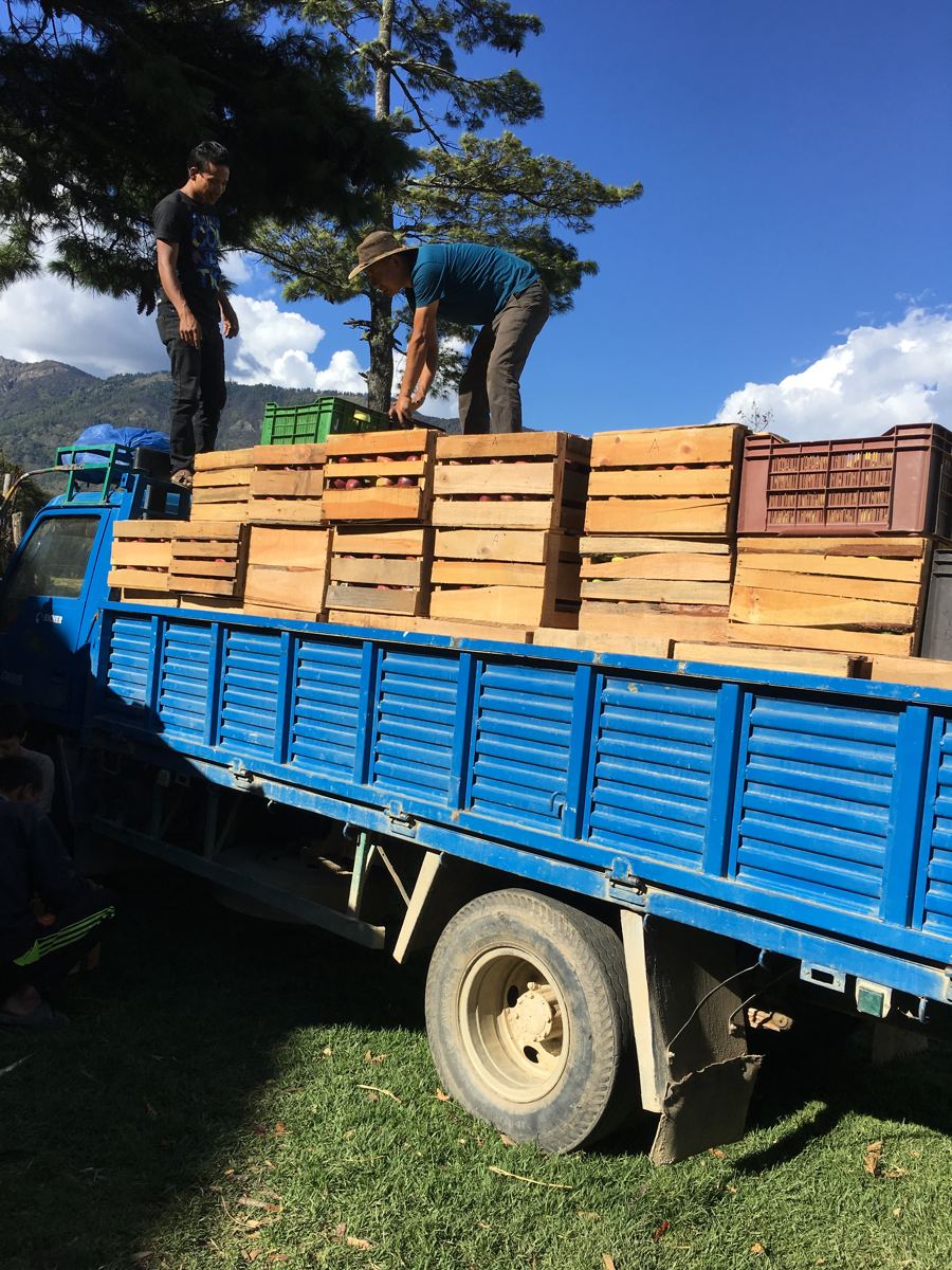 Our DCM truck loaded with crates of fruit