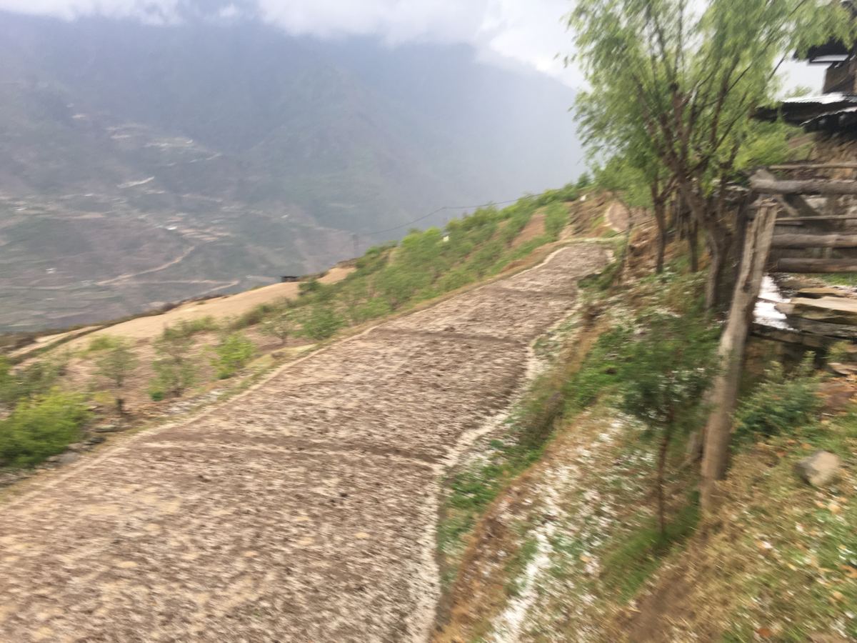 Looking across the Paro valley from the farm