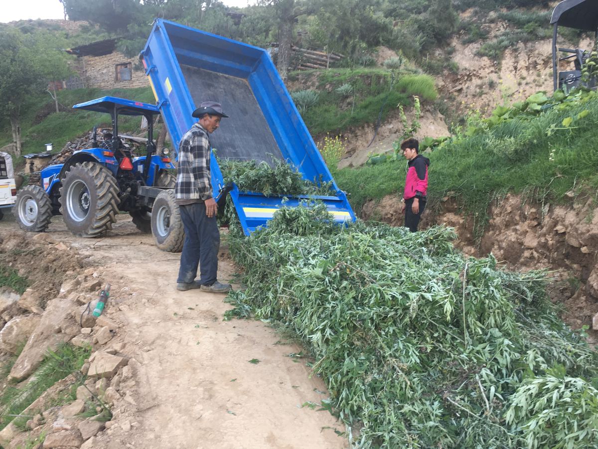 Bringing in compost for the soil