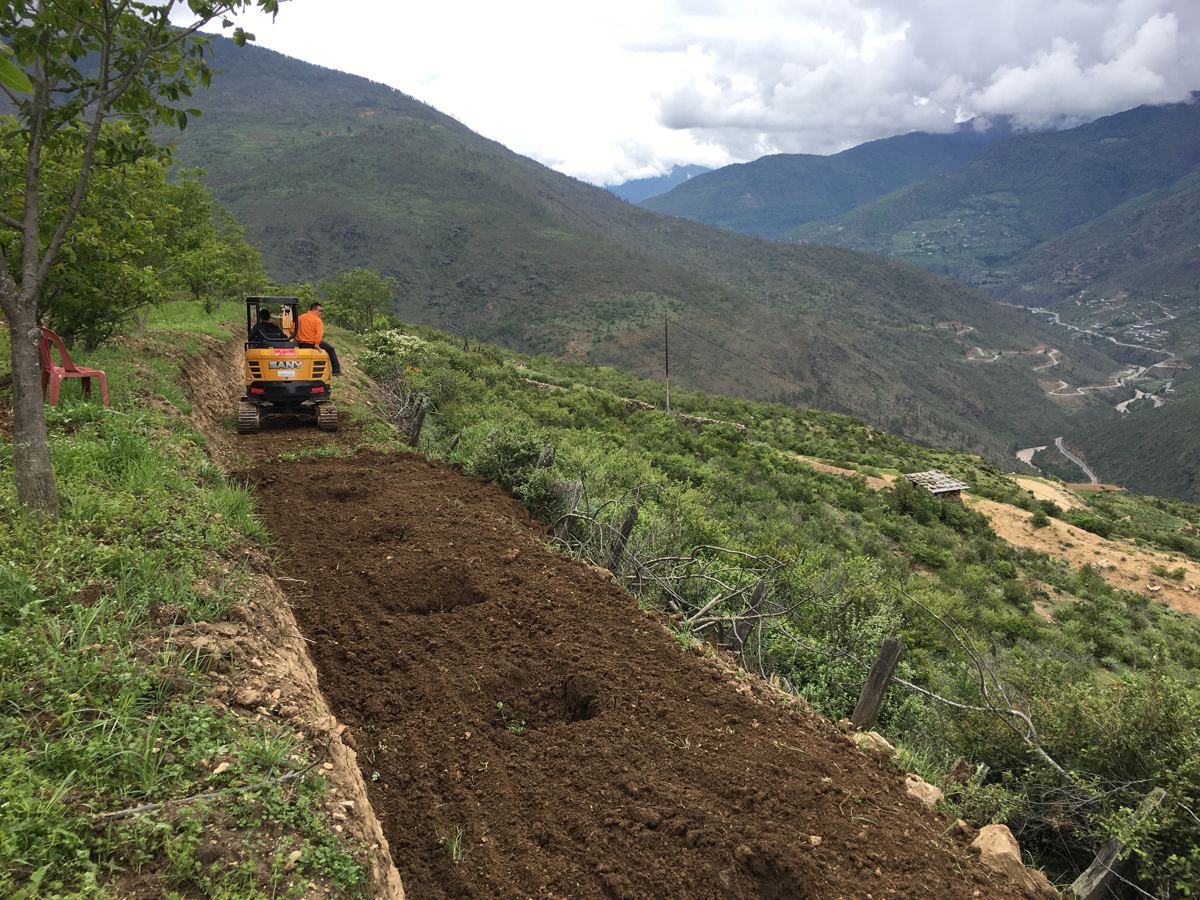 New planting rows taking shape