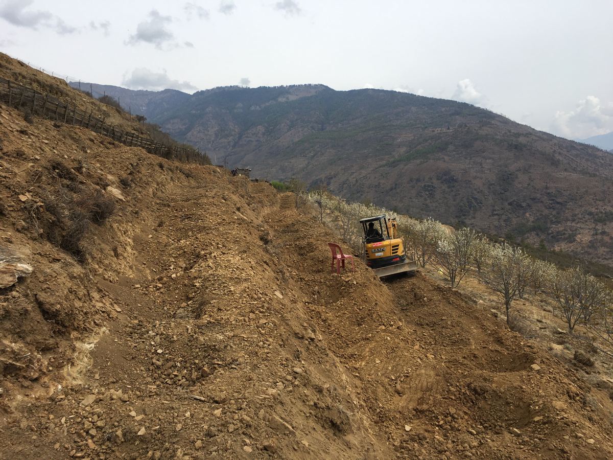Working on the terraces